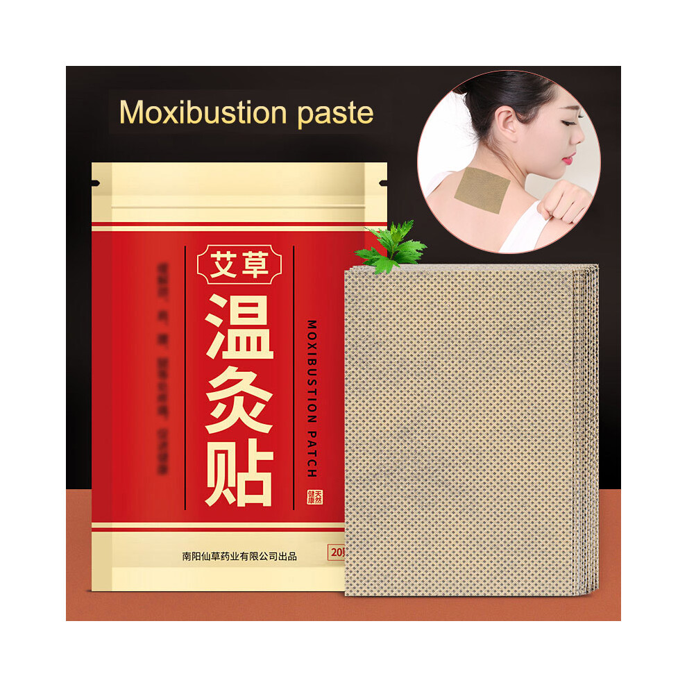 Dachuang Beauty 20 Pcs Wormwood Pain Relief Moxibustion Pads