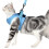 Pet Traction Strap Confortable Légèr 10