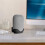 Speaker Sturdy Black Wall Shelf Holder Speaker Wall Mount Space Saving , for  Nest Audio  Speaker 1