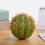 3Pièces Boule Antenne Mousse Verte Antirayures Déco Extérieure 3