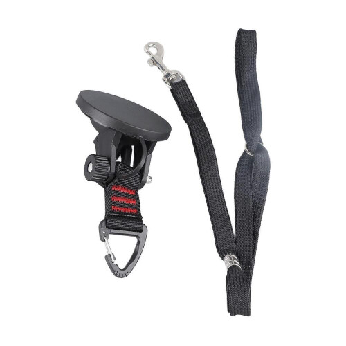 Dog Bath Leash with Suction Cup, Interchangeable Collar, Tub Restraint Lead