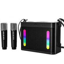 Altavoz Bluetooth inalámbrico con subwoofer, luz colorida, portátil, para fiestas familiares, máquina de karaoke con 2 micrófonos estéreo