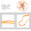 1Ensemble Bandes Caoutchouc Orange Épaisses Usage Polyvalent 7