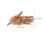4Pcs Solid Wood Hand Figure with Moveable Joints for Art Drawing 10