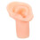 3Pièces Modèles D'oreilles En Silicone Roses Pour Affichage Perçage 2