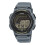 Casio Casio Mezczyznizegarek WS-1800-2AVEF 1