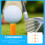 12Pièces Tee De Golf Pour Practice Portatif 5