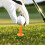 12Pièces Tee De Golf Pour Practice Portatif 6