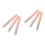6Pièces Brosse Rose Bois Pour Femmes 6
