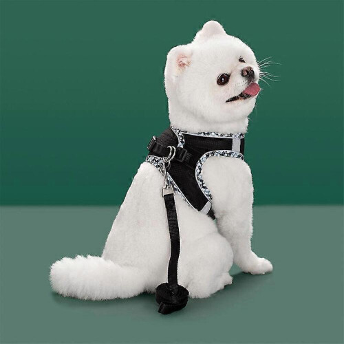 （Black-2XS）Dog Restraint Suitable for small medium-sized dogs No pulling Puppy Restraint 2