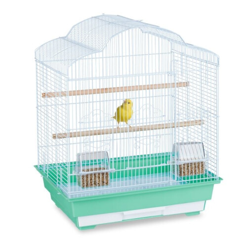 Gaiola para pássaros com acessórios