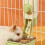 Hanging Pet Feeder Rabbit Feeder for Small Pet Feeding 5