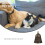 10Pièces Cloches Compactes En Laiton Pour Animaux Usage Polyvalent 7
