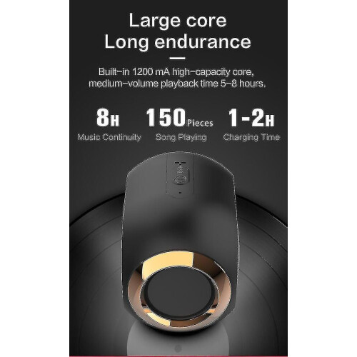2023 Golden Speaker-Portable High-end Wireless Speaker-108D 1