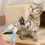 1Ensemble Miniature Pour Toilettage Coupe Animal 3