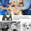 1Ensemble Miniature Pour Toilettage Coupe Animal 5