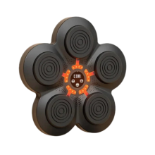 Smart Bluetooth LED Boxing Target
