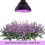 Φως Φυτών Led 50w Φως Ανάπτυξης Πλήρους Φάσματος, Φως Φυτών 78 LED Φως Φυτών Φως Ανάπτυξ 4