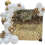 Light Gold Shimmer Wall Backdrop – 18 pcs Decorative Panels Glitter 1