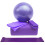 5-Piece Yoga Ball Kit for Beginners 1