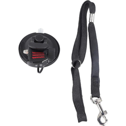 Dog Bath Leash with Suction Cup, Interchangeable Collar, Tub Restraint Lead 1