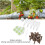 Hydroponic Pods Kit Plastic Peat Grow Baskets Indoor Garden System 6