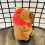 Capybara Plüsch-Schlüsselanhänger Typ 3 - Klein PP-Füllwatte 6