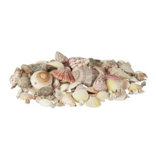 Blanding av sjø- og snegleskjell 1 kg