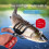 Multi-Function Fish Catcher, Fish Clamp, Anti-Slip Fish Control Device, Fish Pliers, Fish Catching Clips 7