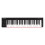 Nektar SE49 USB MIDI Keyboard Controller with Nektar DAW Integration,Black white Grey 1