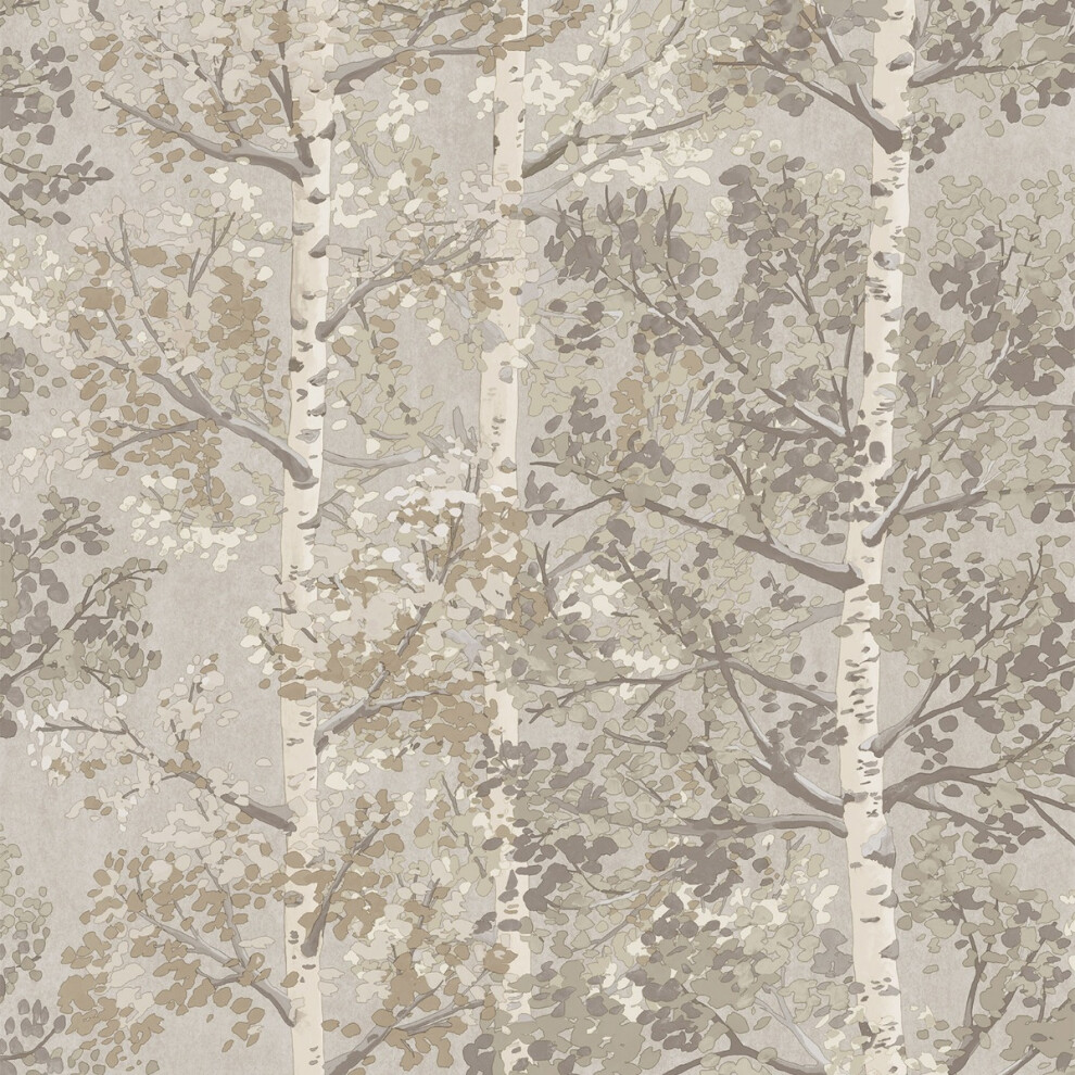 Rasch Wallpaper Silverwood Natural Wallpaper - Birch Tree Forest Design - Metallic Accents - Heavy Quality Paper - Image 4