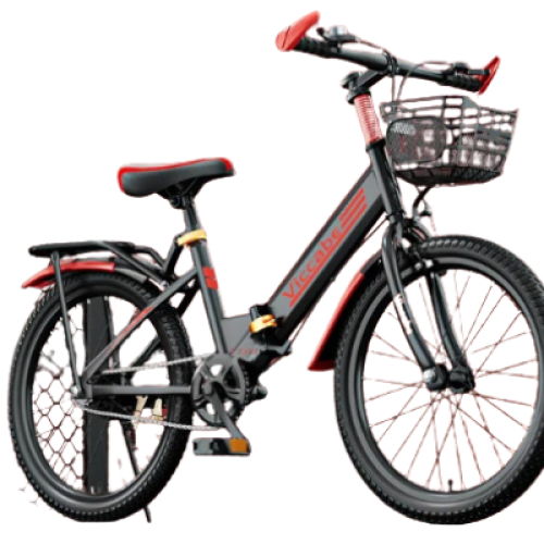 Teens' Aluminum Folding Bike with Variable Speed 1
