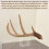 Horn Mount, Four Piece Assembly Kit, Drill Free Trophy Display, Floating  Shelf Riser, Home Decor Accessory 7