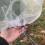 4 Pcs Garden Plant Fruit Protection Mesh Bags 0.8x0.8m 6