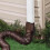 Flexible Gutter Downspout Extension 21-58in Brown Drain Pipe 5