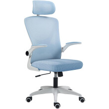Ergonomic Mesh Office Chair with Flip-Up Arms Blue
