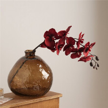 Minimalist Brown Glass Vase Hydroponics Plant Pot Table Decoration Flowers Arrangement Floral Vases Room Aesthetic Decor
