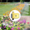 Single-Channel Zigbee  Watering Device, Automatic Irrigation Timer Waterproof Timing Irrigation Automatic Watering 8
