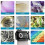 3-in-1 Phone Microscope Lens 100X/150X/200X with LED Light for Android/for 2