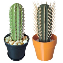 Plant Decoratie Knutselen Huisdecoratie Tuin 3D Geprinte Cactus Simulatie Pot Tandenstoker Doos Tafeldecoratie