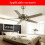 Ceiling Fan Pull ,ZE-208S E89885 3 Speed 4 Wire Fan  Pull Chain Cord  Fan Lights  Replacement 5