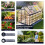 Birchtree BIRCHTREE 6X10FT Polycarbonate Greenhouse Dark Grey 2