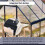 Birchtree BIRCHTREE 6X6FT Polycarbonate Greenhouse Dark Grey 7
