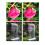 ND16 Filter Drone Filter for AVATA 2 Filter Traverser Filter Multifunction Light Reduction Practical Accessories 9
