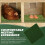 Reusable 12x12in Chicken Nesting Pads, 8pcs Soft Artificial Grass 4