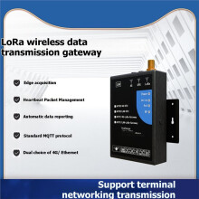 LoRa to 4G Wireless Module for IoT Remote Wireless Data Acquisition and Transmission DTU485/232/TTL