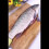 Fish Scale Remover Brush Seafood Scaler Tool 7