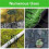 50pcs Green Artificial Turf Stakes Staples + 50pcs Buffer Washer, Landscape Staples, Galvanized Lawn Spikes 6