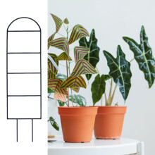 (Trapezoidal Style) Creative Vine Trellis for Indoor/Outdoor Plants