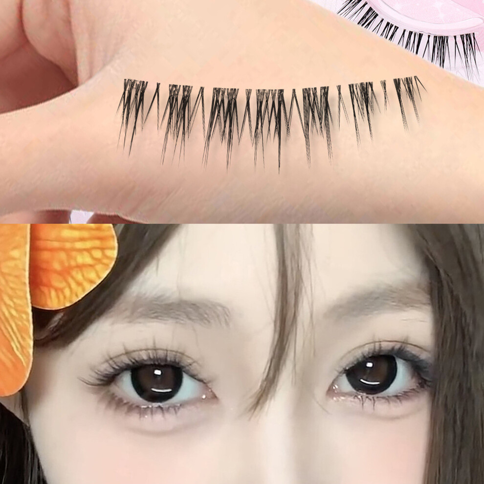 Dachuang Beauty Black Reusable False Eyelashes For Daily Wear
